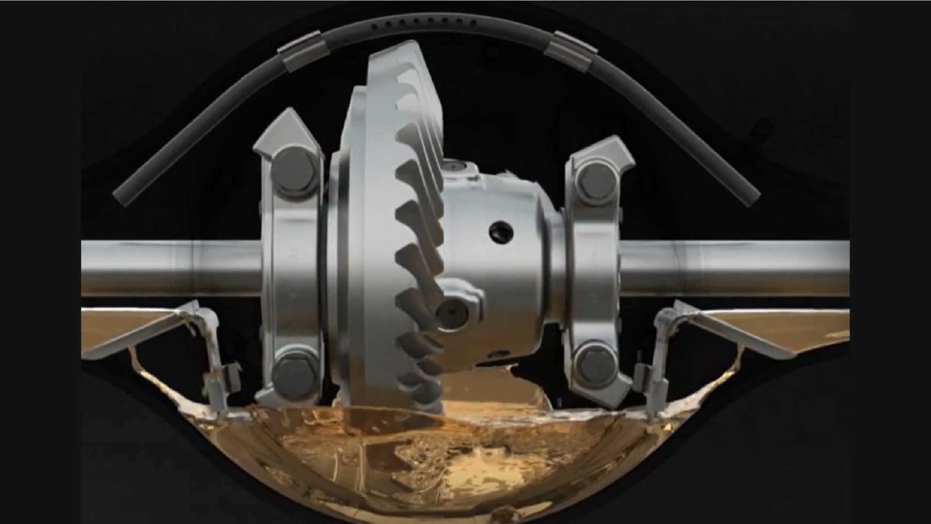 jpg-resized-banner-image-mlms